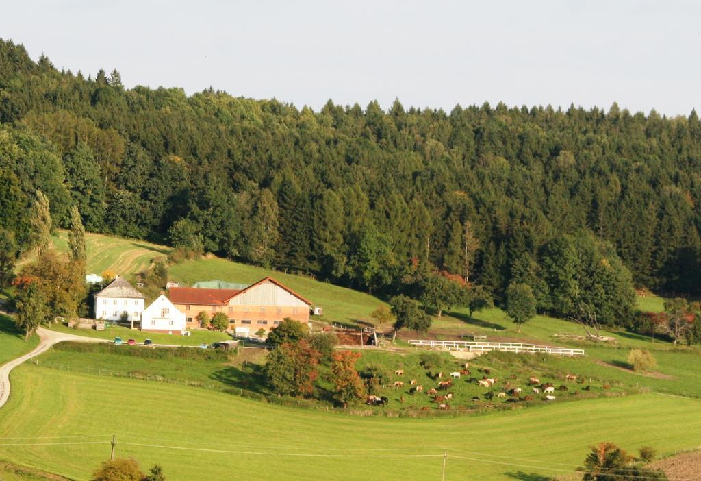 Pferdehof Koaser Minerl Ampflwang im Hausruckwald Exterior foto